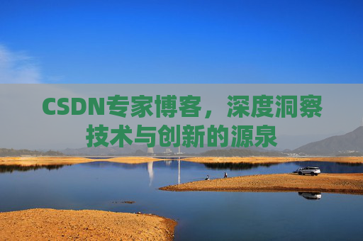 CSDN专家博客，深度洞察技术与创新的源泉